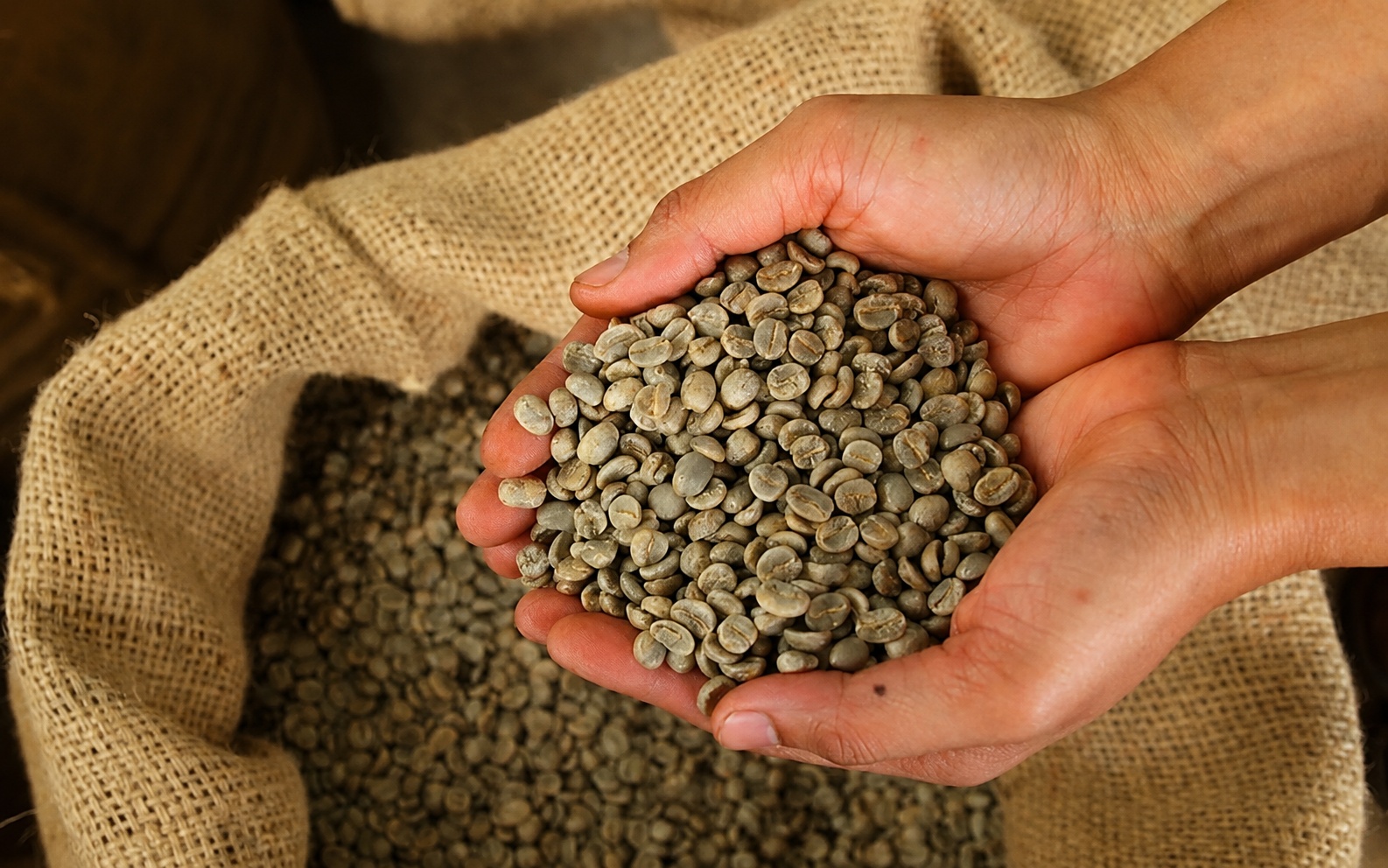 Green coffee beans
